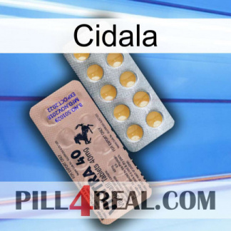 Cidala 41